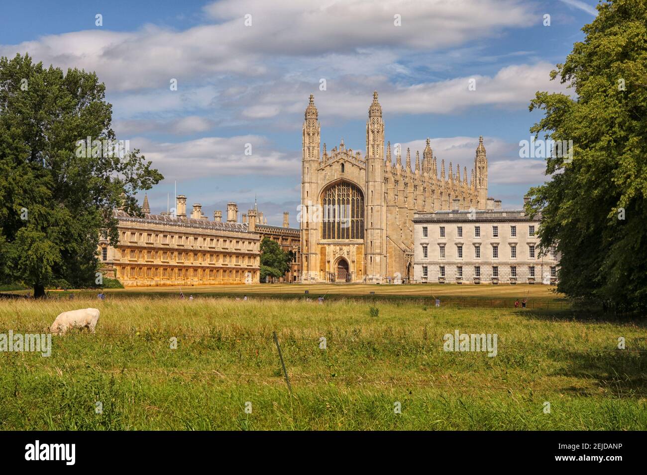 Kings College and Chapel with River Cam and punters and cow in the foreground Stock Photo