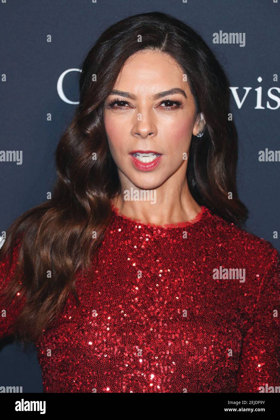 BEVERLY HILLS, LOS ANGELES, CALIFORNIA, USA - JANUARY 25: Terri Seymour
