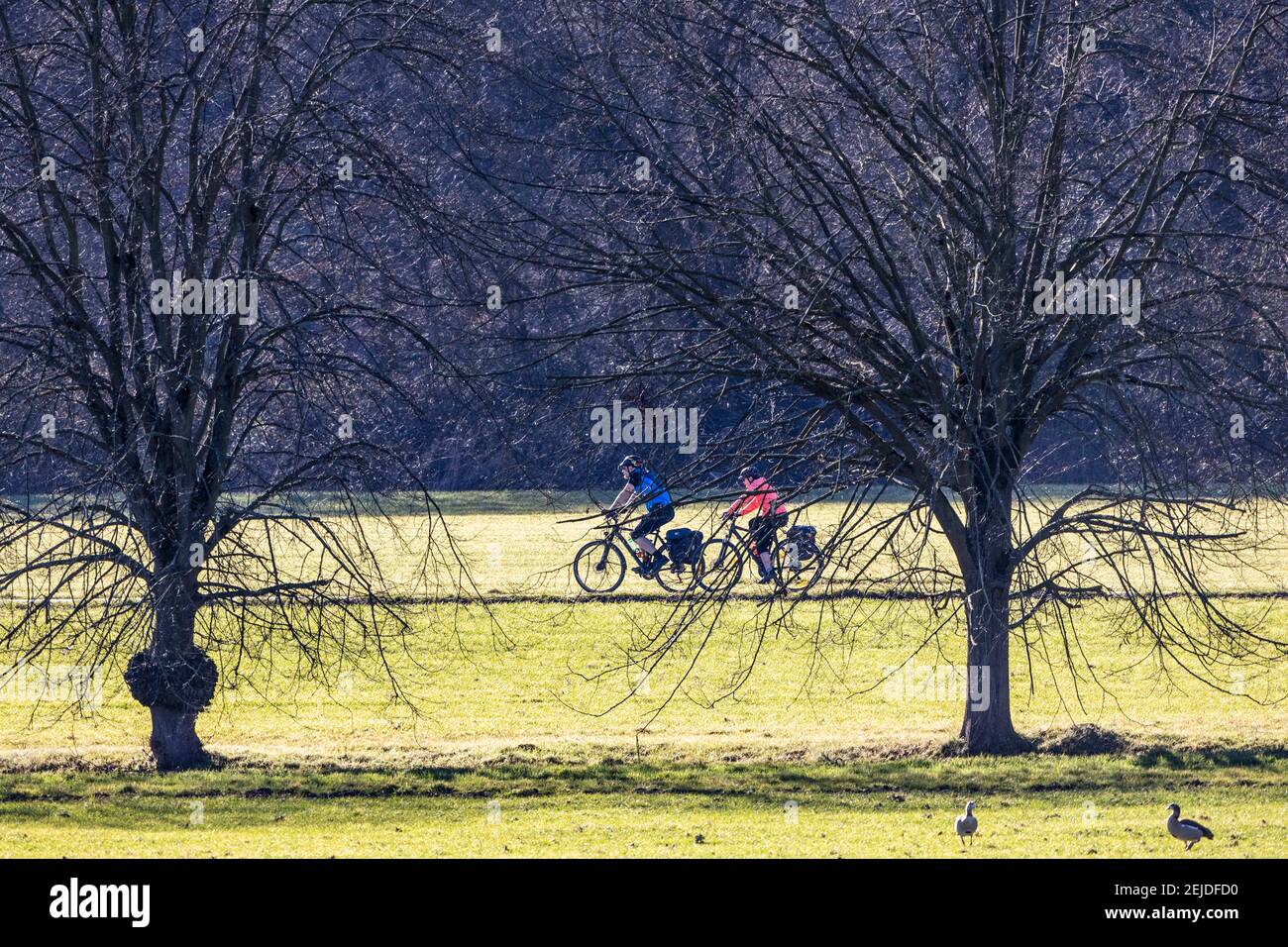 Cyclists enjoy the warm winter sunshine in February in Mülheim an der Ruhr, Germany Stock Photo