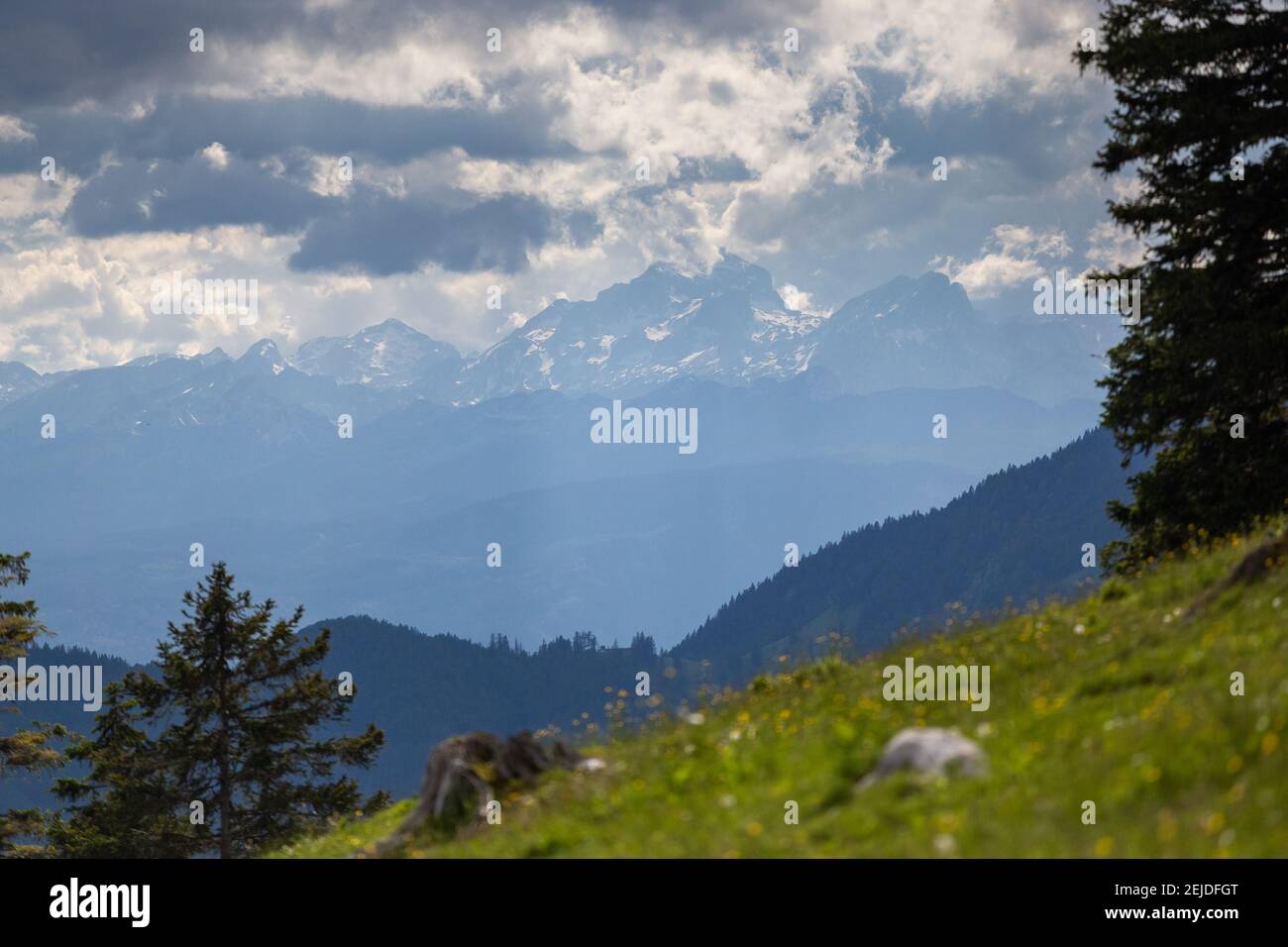 Mesmerizing shot of a field and mountains with dense trees under the ...