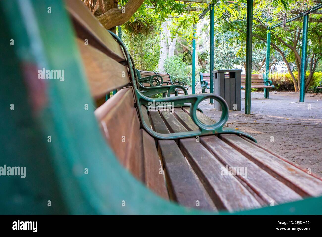 Gardens Cape Town, South Africa 19022021 Wooden benches painted