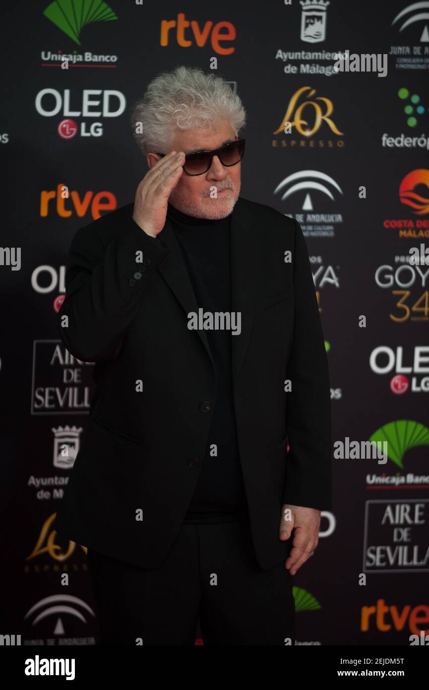 Spanish director Pedro Almodovar attends the 34th edition of Spanish ...