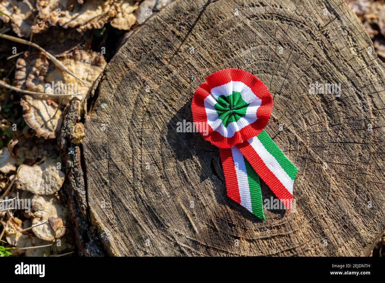 close up tricolor rosette symbol of the hungarian national day 15th of march . Stock Photo