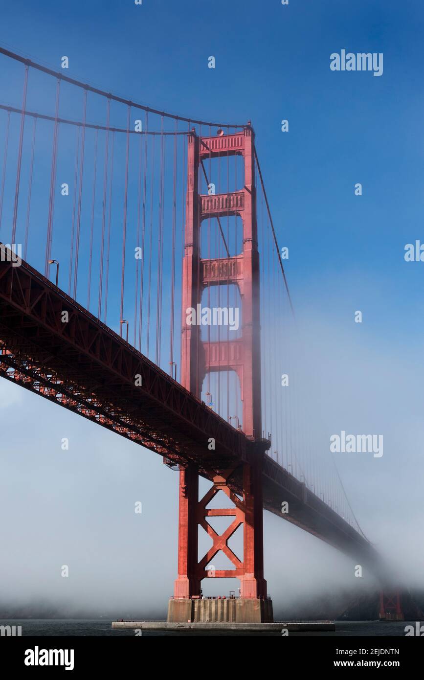 Suspension bridge covered with fog, Golden Gate Bridge, San Francisco Bay, San Francisco, California, USA Stock Photo