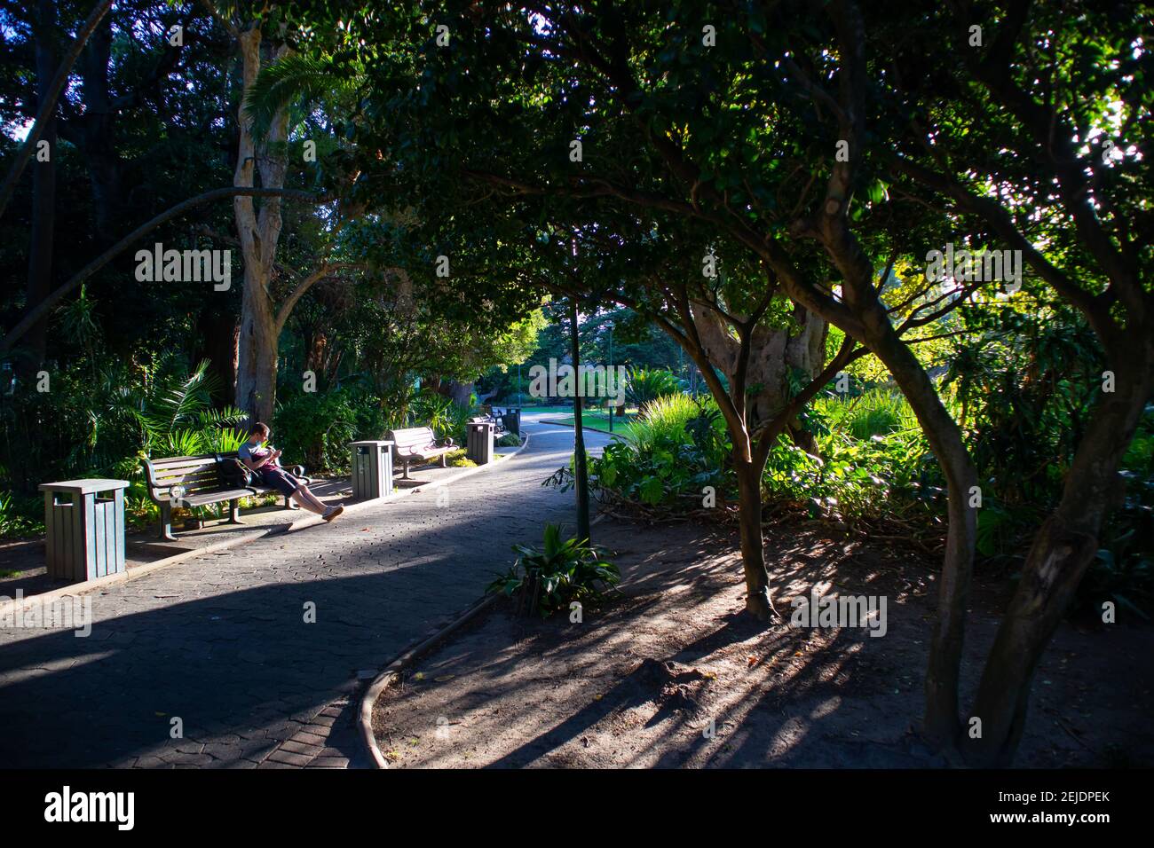 Gardens- Cape Town, South Africa - 19-02-2021 Stock Photo - Alamy