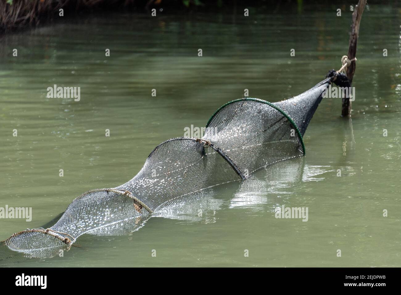 Shrimp trap hires stock photography and images Alamy