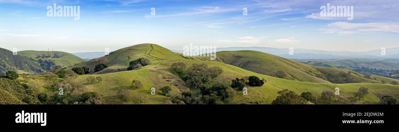 Road leading on top of a hill, California, USA Stock Photo