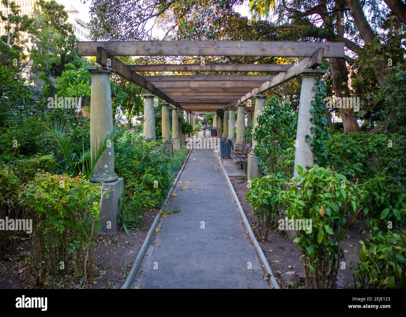 Gardens- Cape Town, South Africa - 19-02-2021 Beautiful outdoor ...