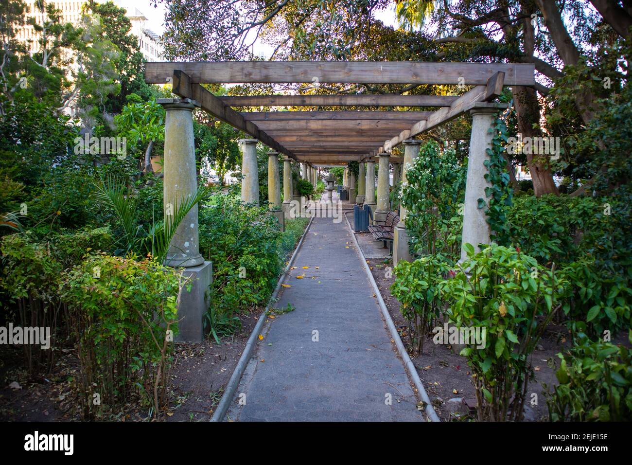 Gardens Cape Town, South Africa 19022021 Beautiful outdoor