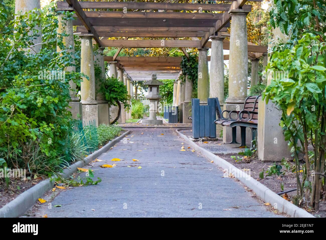 Gardens Cape Town, South Africa 19022021 Beautiful outdoor