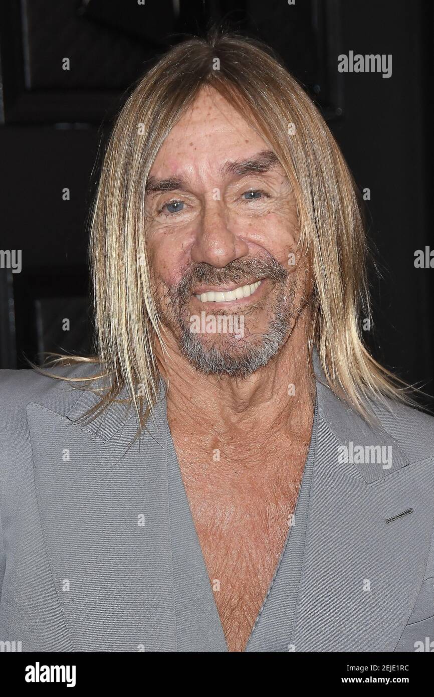 Iggy Pop arrives at the 62nd Annual Grammy Awards red carpet held at ...