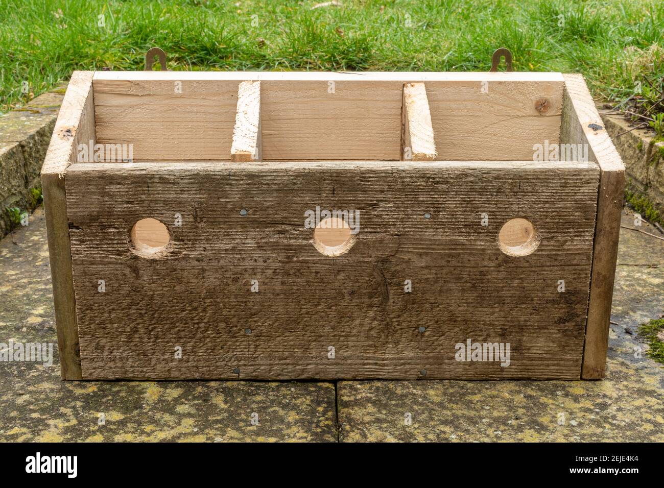 Homemade sparrow box, wooden bird nesting box for house sparrows with three chambers and holes, view of the inside with the roof off, UK Stock Photo