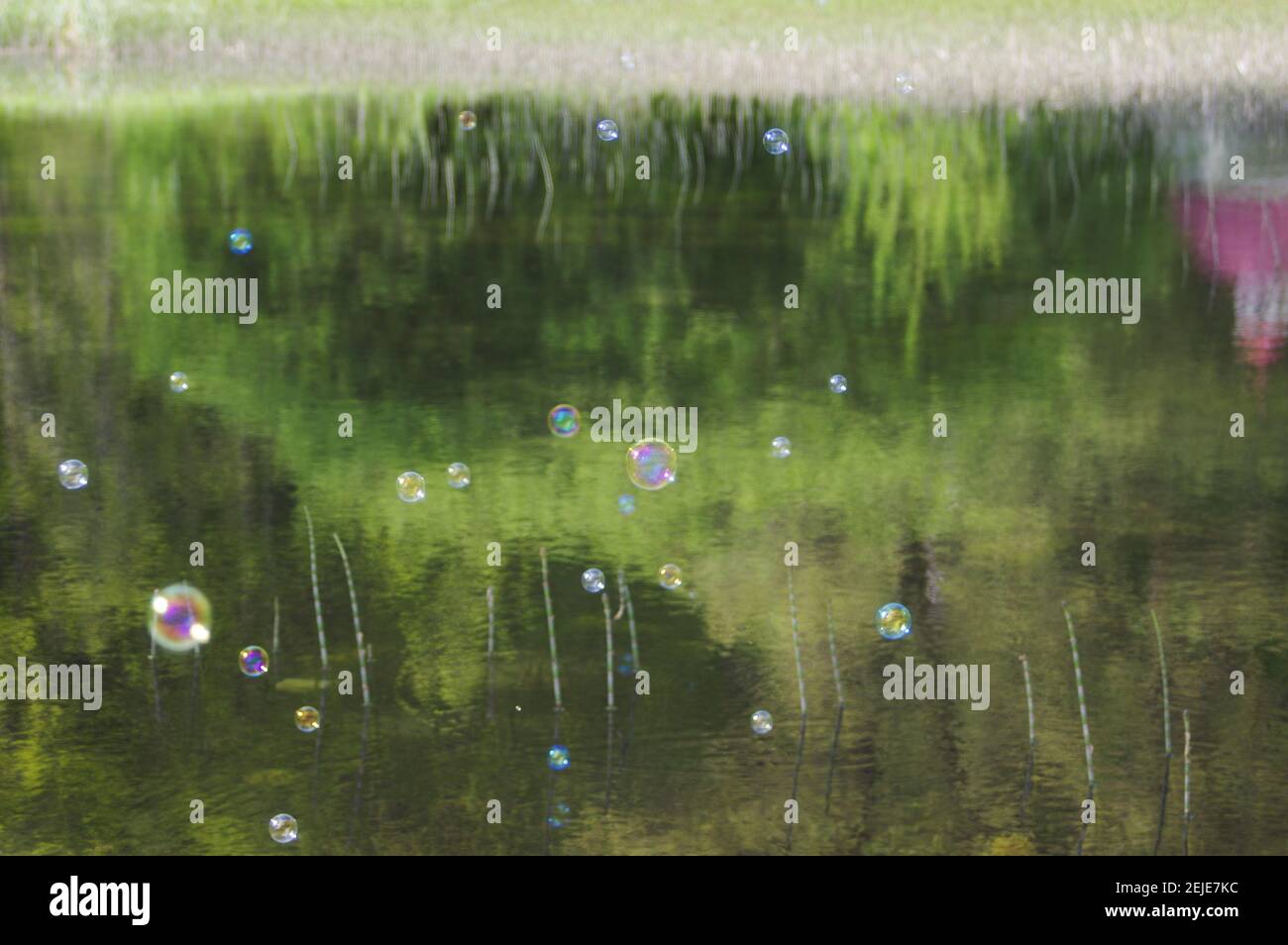 The rainbow bubbles from the bubble blower Stock Photo