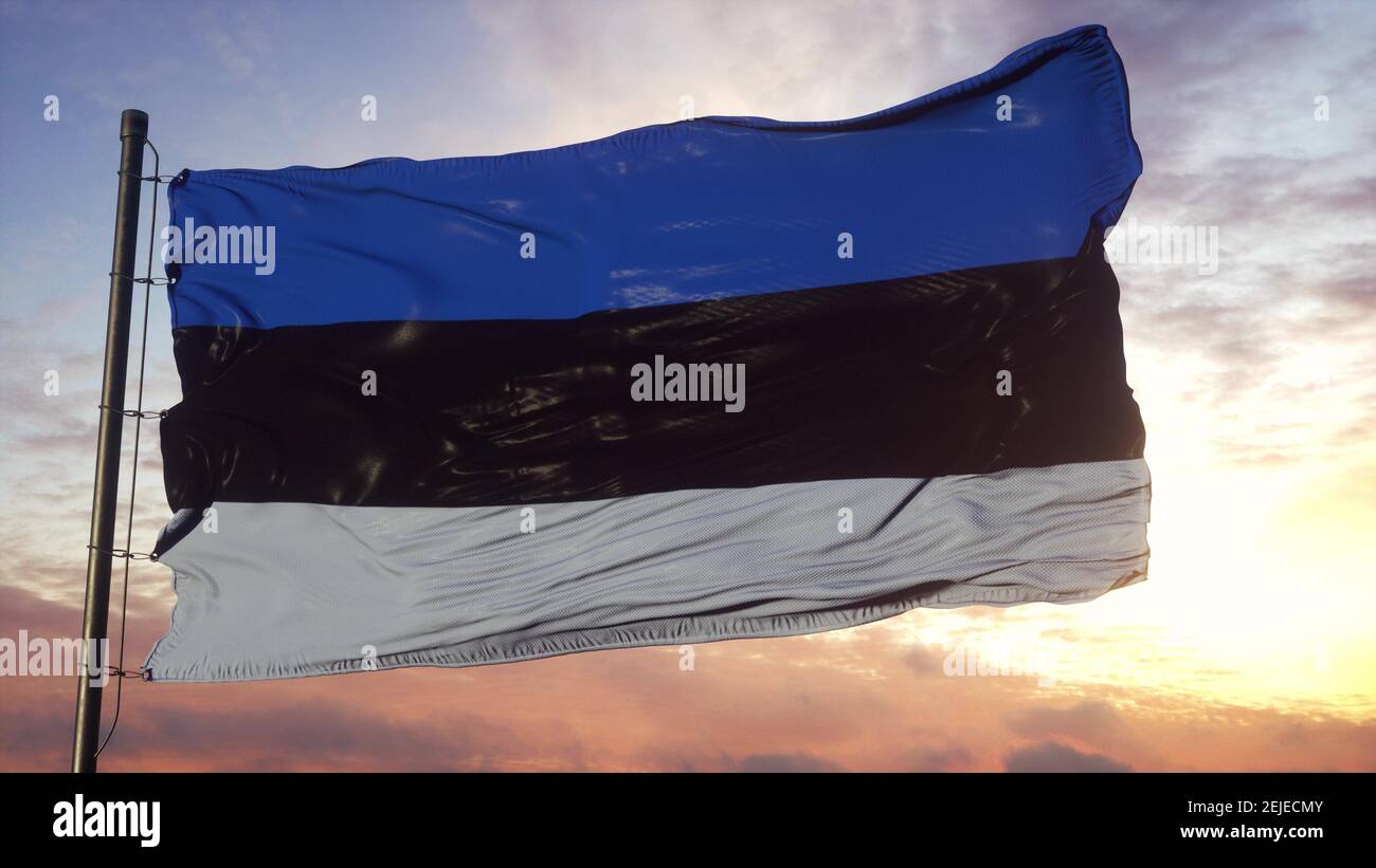 Flag of Estonia waving in the wind against deep beautiful sky. 3d ...