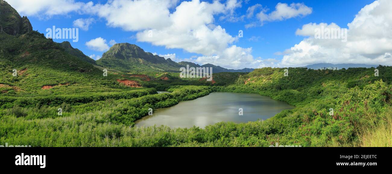 Menehune (Alekoko) Fishpond, Kauai