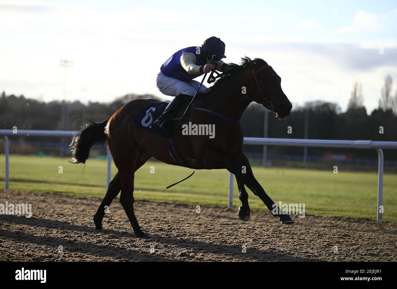 Tributo ridden by Richard Kingscote coming home to win the Betway Casino Median Auction Maiden Stakes at Wolverhampton racecourse. Picture date: Monday February 22, 2021. Stock Photo