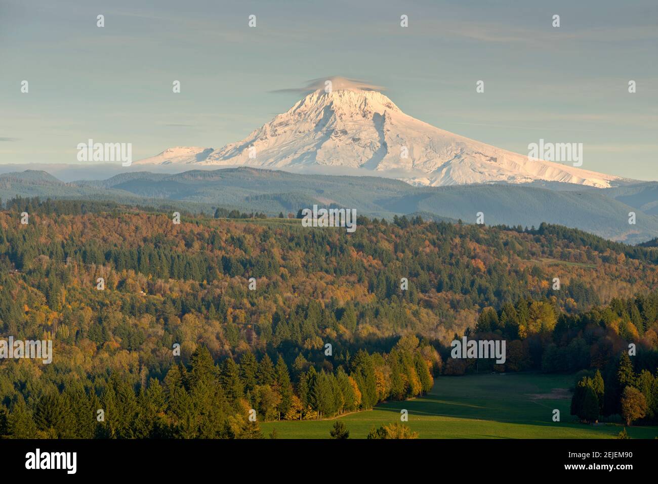 Trees on a landscape with mountain in the background, Mt Hood, Jonsrud Viewpoint, Sandy, Clackamas County, Oregon, USA Stock Photo