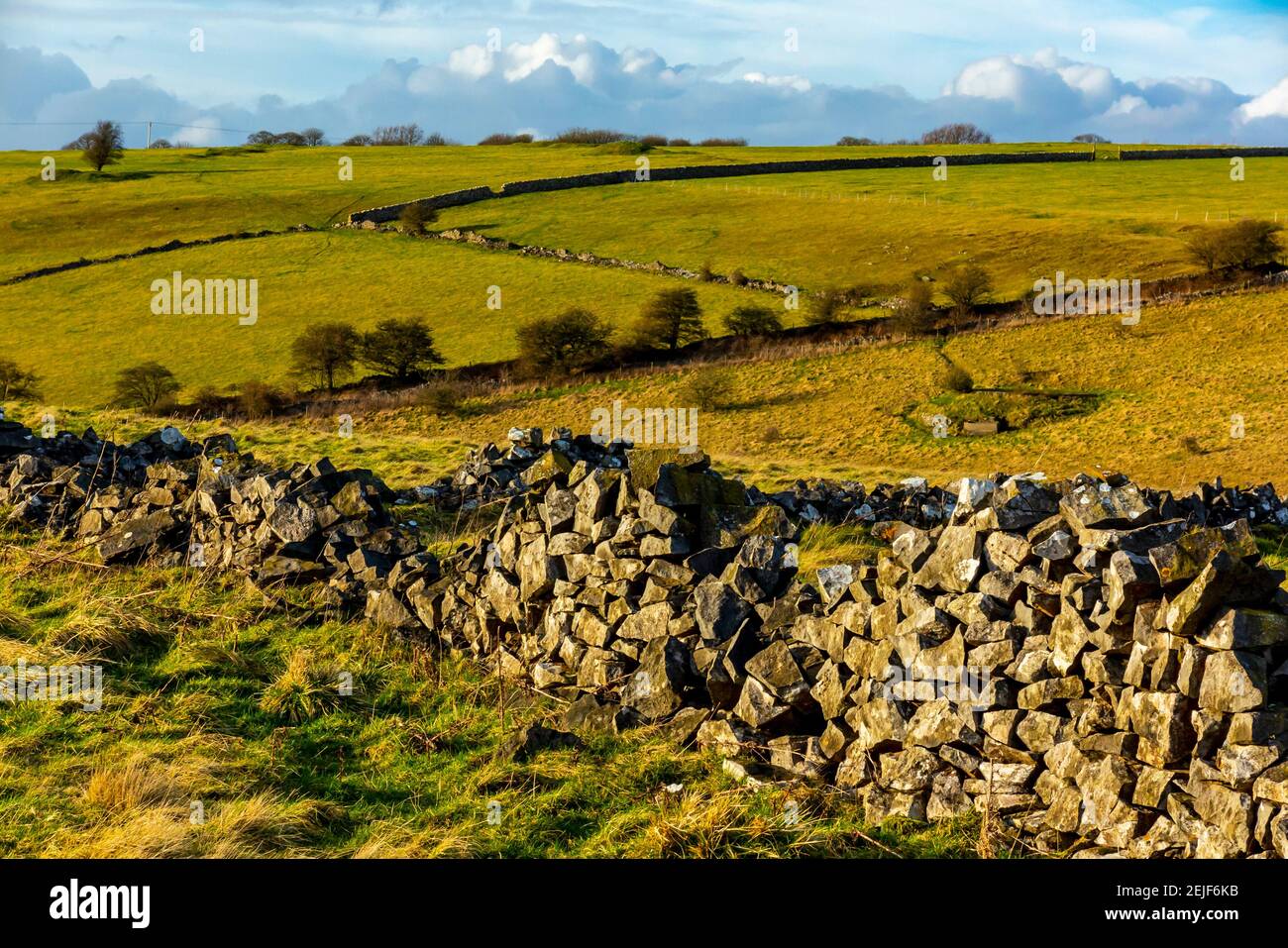 Drystone wall and trees on Longstone Edge near Bakewell in the Peak District National Park Derbyshire England UK with stormy sky and dark clouds. Stock Photo