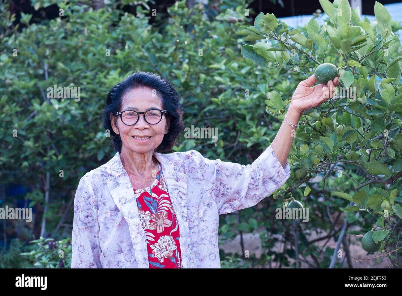 Female 60s asian hi-res stock photography and images - Alamy
