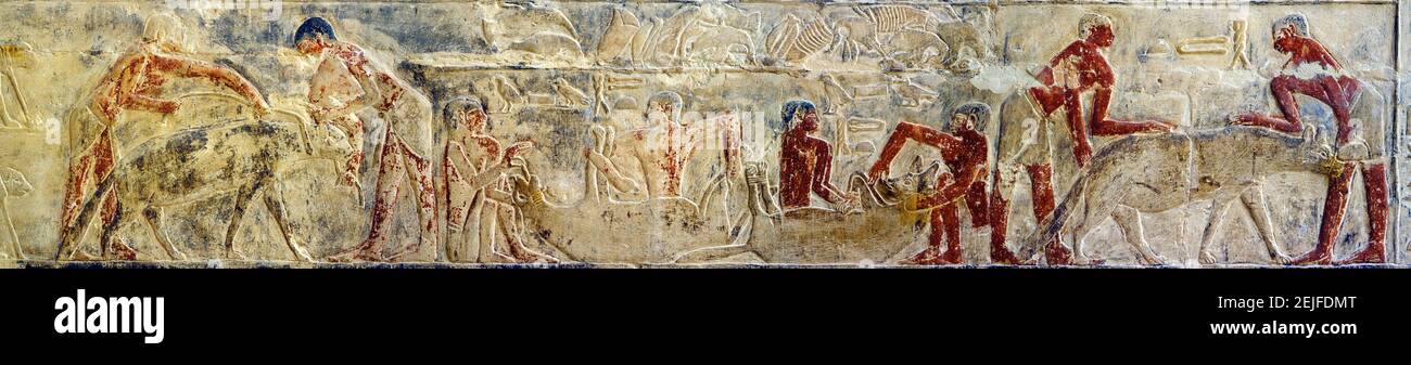 Mural of servants stuffing a hyena, Luxor, Egypt Stock Photo