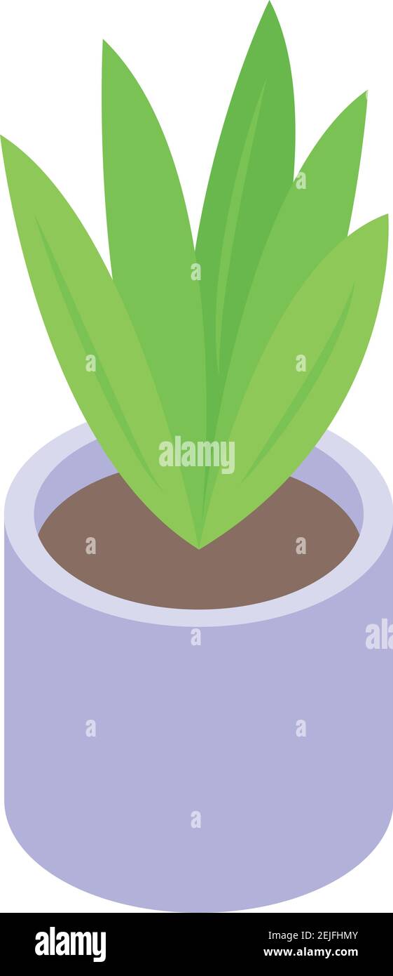 Flower pot icon. Isometric of flower pot vector icon for web design ...