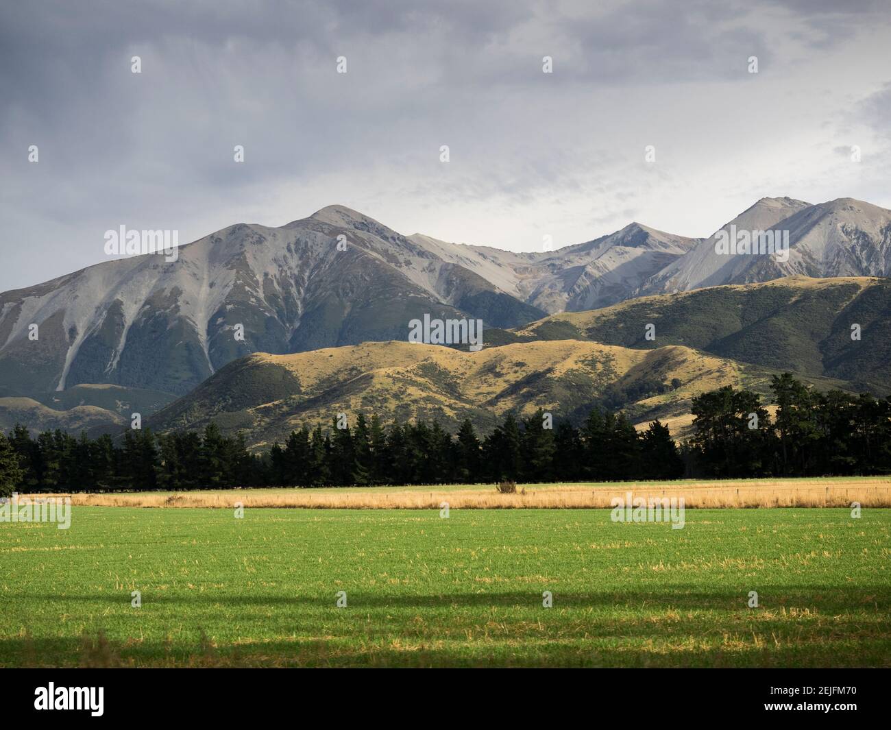 Field with mountain range in the background, Canterbury, South Island, New Zealand Stock Photo