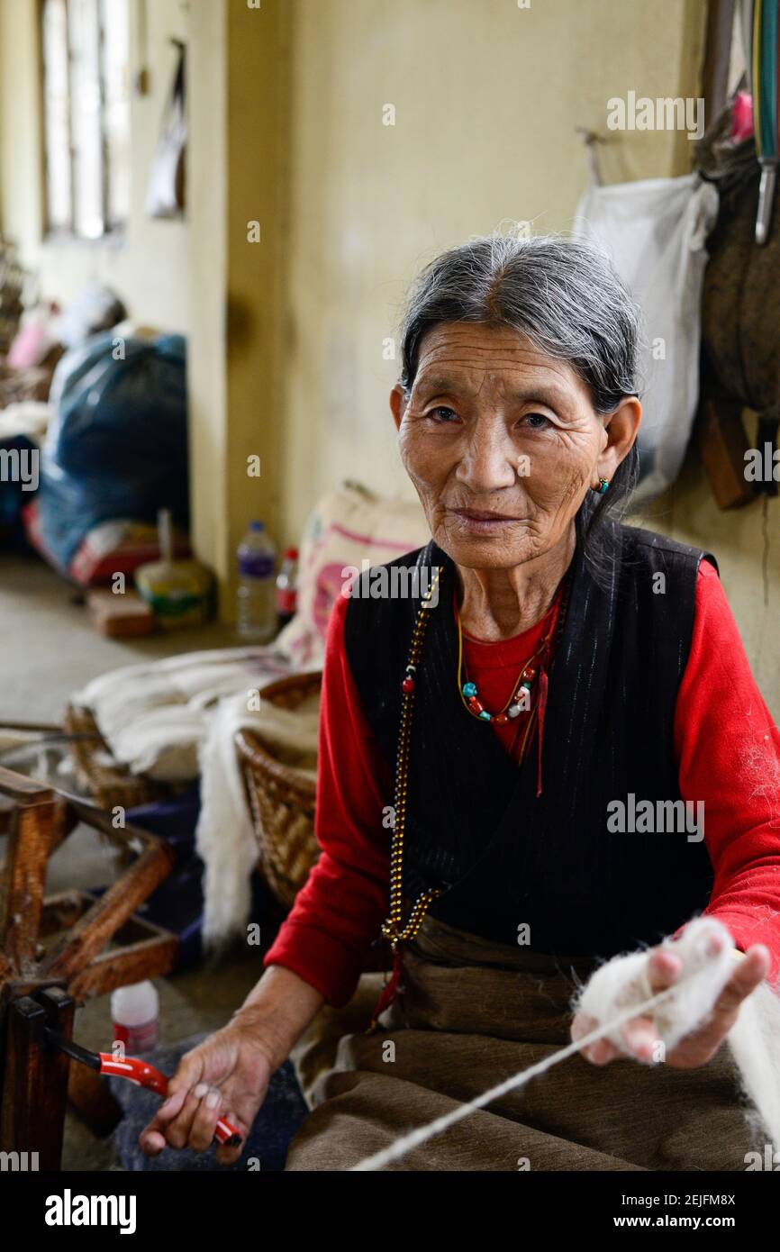 NEPAL Kathmandu, Lalitpur, tibetische Fluechtlinge, tibetisches Fluechtlingslager Jawalakhel, Teppichfabrik JHC Jawalakhel Handicraft Center, tibetische Frauen spinnen die Wolle, Frau Kunsang, 72 Jahre Stock Photo