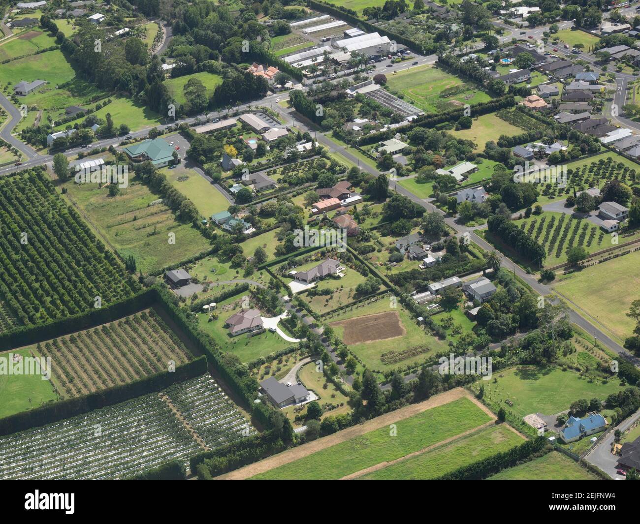 Aerial view of farmhouses in a field, Pahai, Northland, North Island, New Zealand Stock Photo