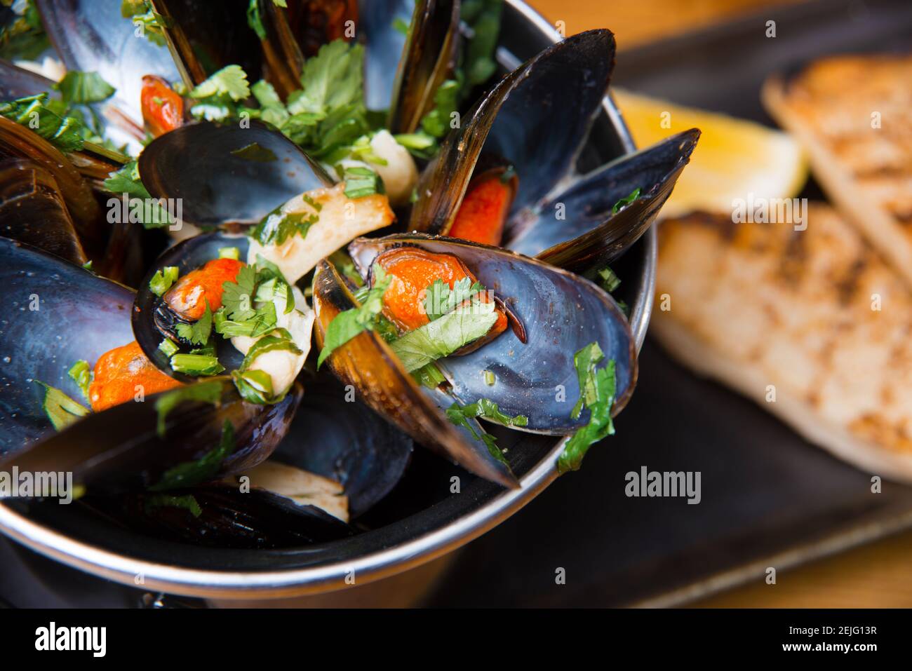 Close up photo of tasty fresh boiled mussels in a pan. Stock Photo