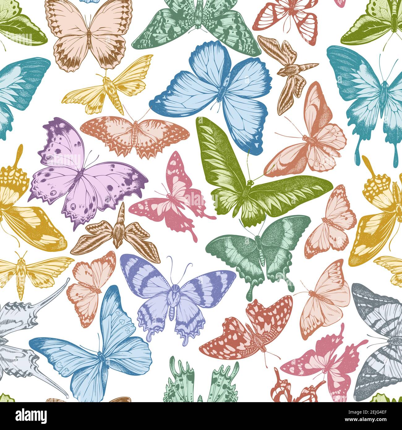 Seamless pattern with hand drawn pastel jungle queens, plain tiger, rajah brooke s birdwing, papilio torquatus Stock Vector
