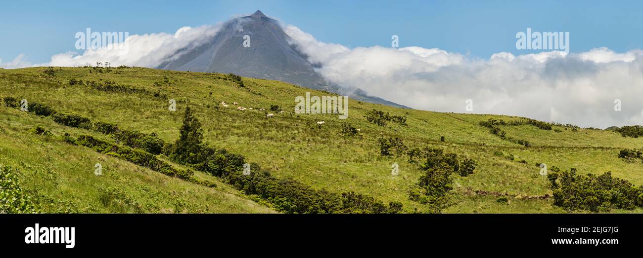 View of Pico Mountain, Pico Island, Azores, Portugal Stock Photo