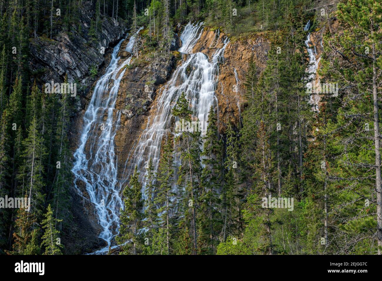 Waterfall in forest, Grassi Falls, Canmore, Alberta, Canada Stock Photo