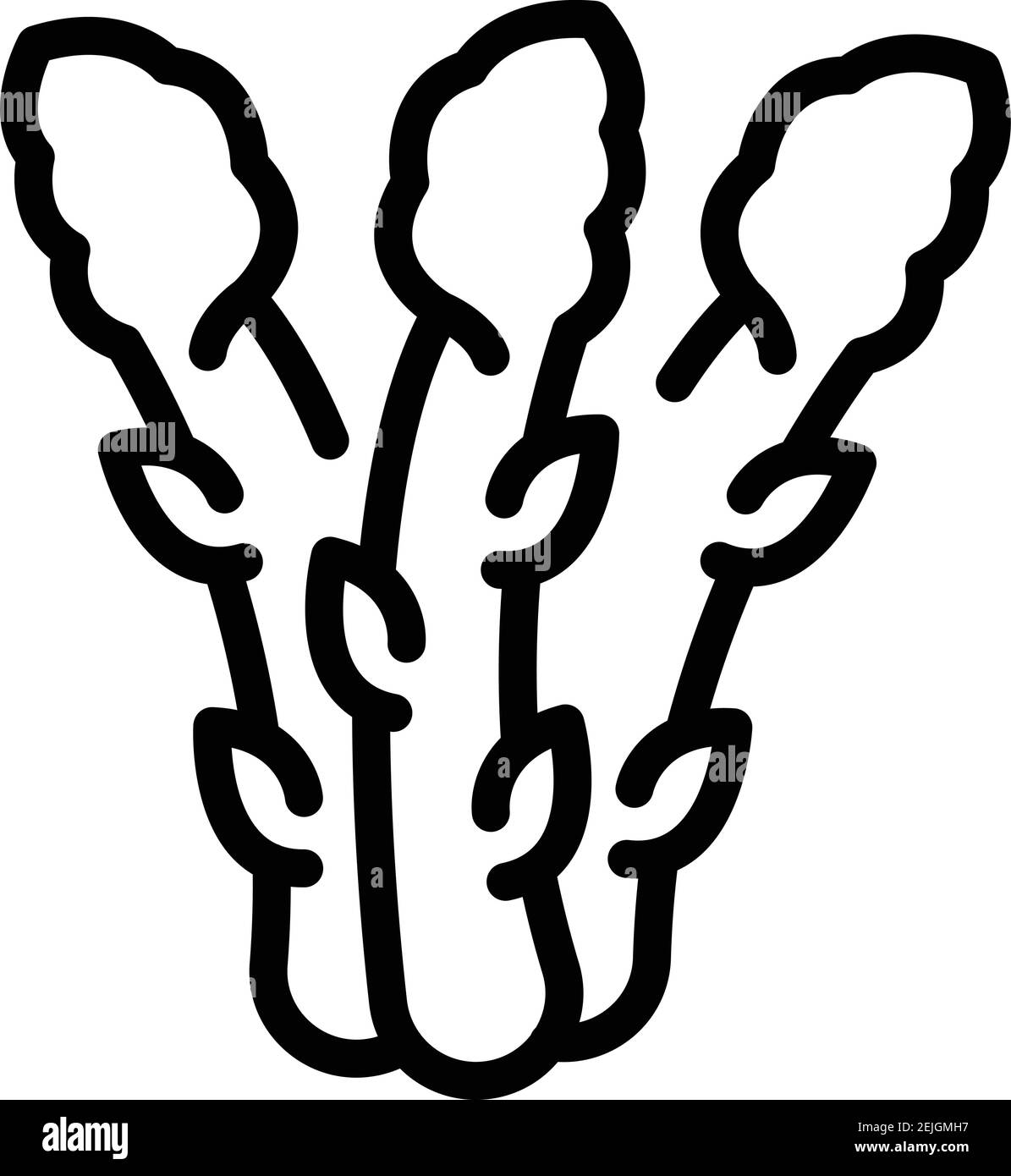 Farm asparagus icon. Outline farm asparagus vector icon for web design