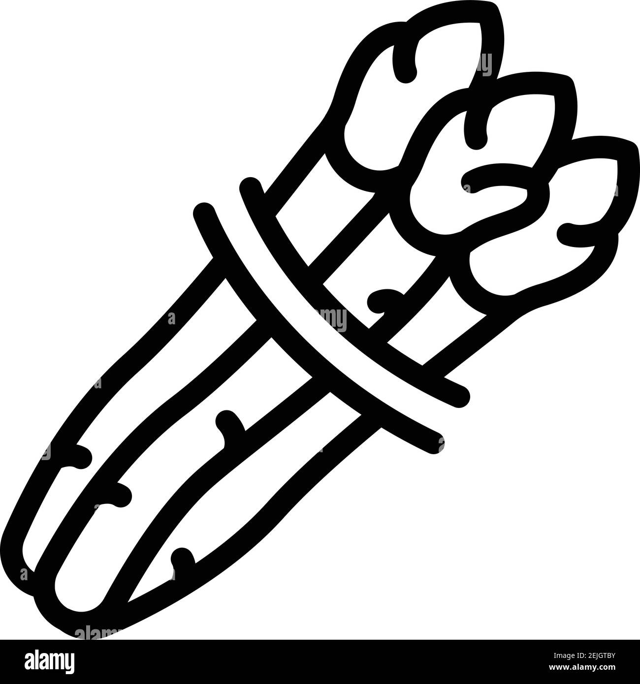 Asparagus icon. Outline asparagus vector icon for web design isolated