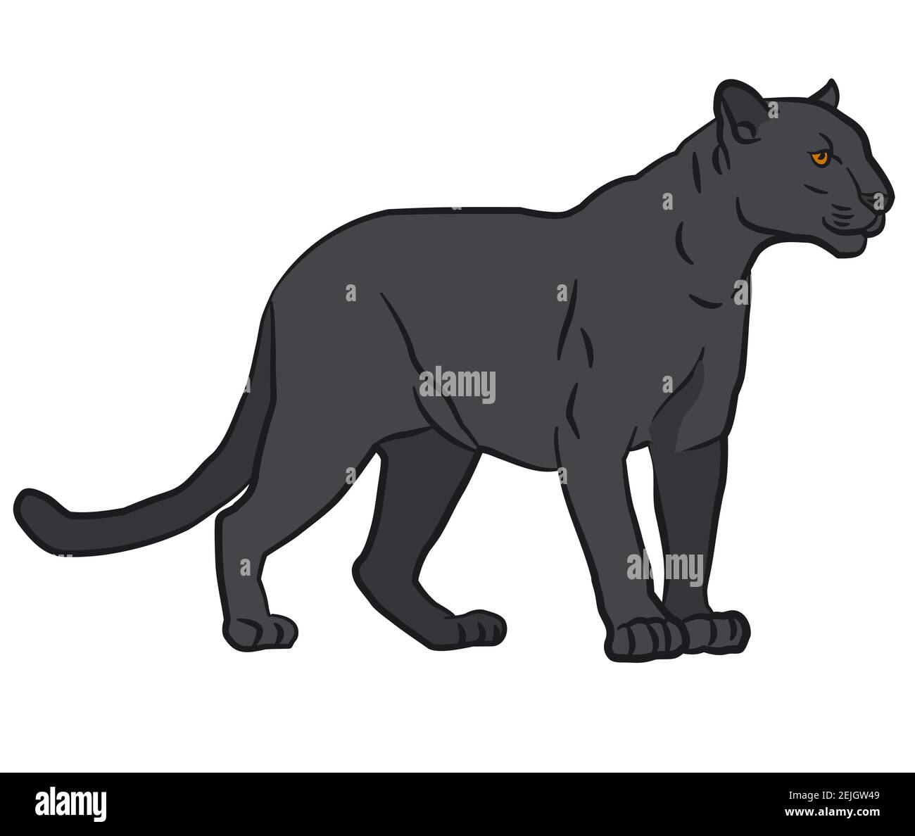 drawing illustration of the wild black panther Stock Vector Image & Art -  Alamy