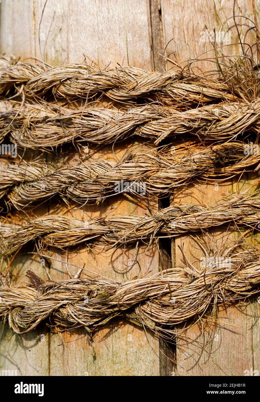 Hemp rope on a wooden background. Brown tones as a background Stock Photo