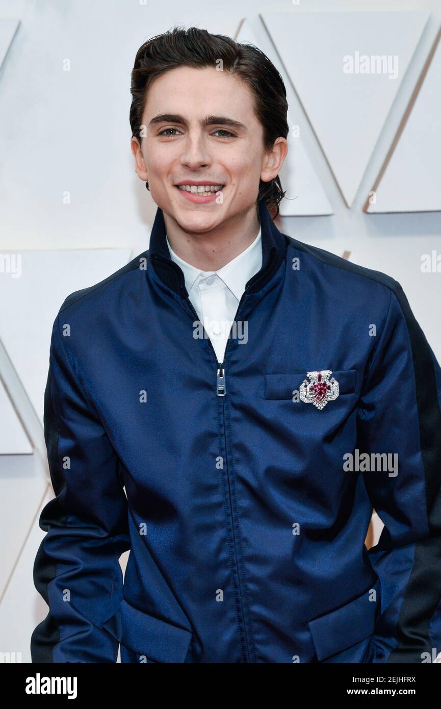 Timothee Chalamet walking on the red carpet at the 92nd Annual Academy ...