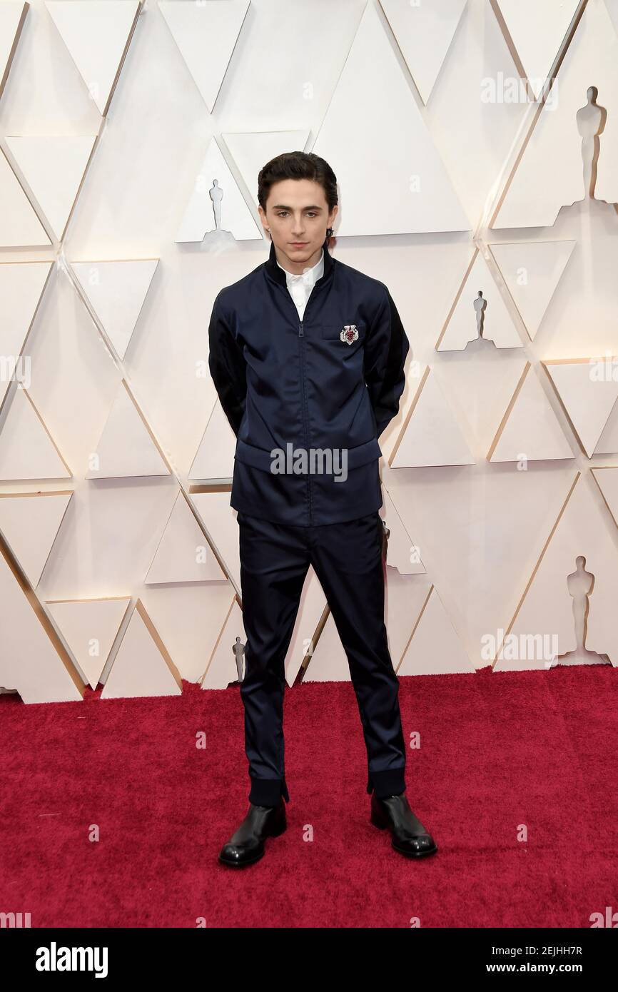 Timothee Chalamet walking on the red carpet at the 92nd Annual Academy ...
