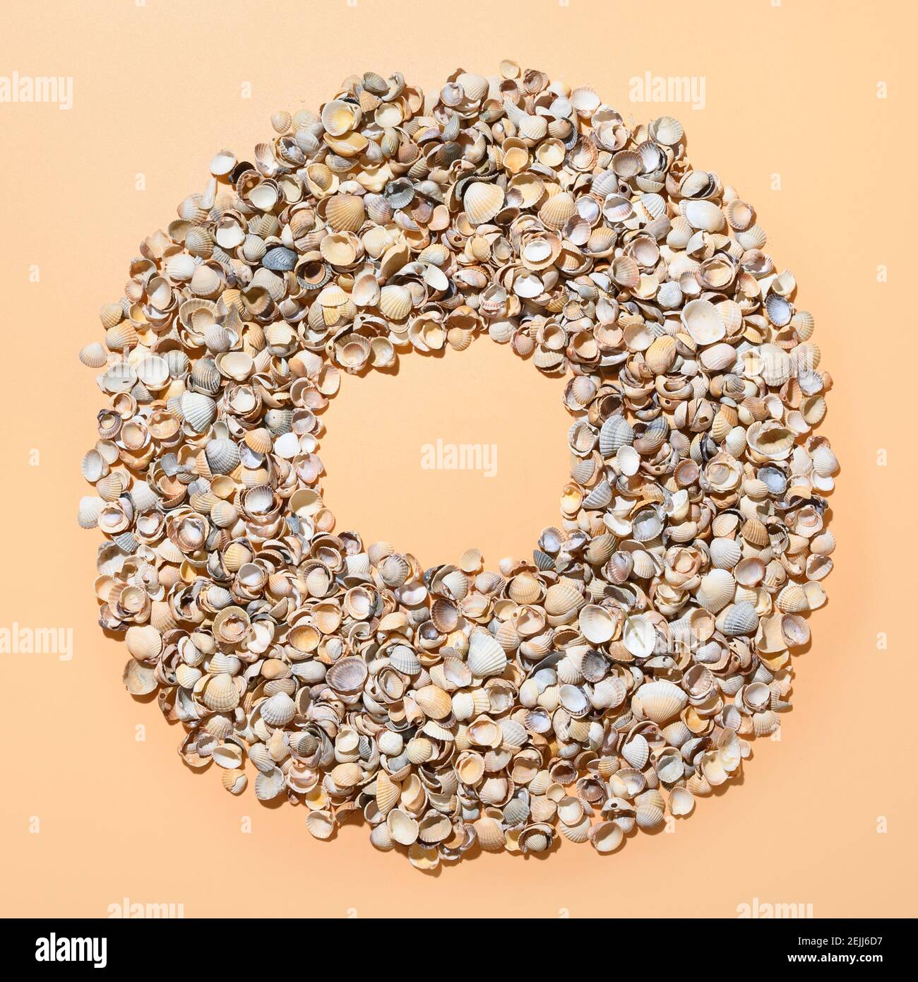 Seashells as wreath with copy space on beige background. View from above. Stock Photo