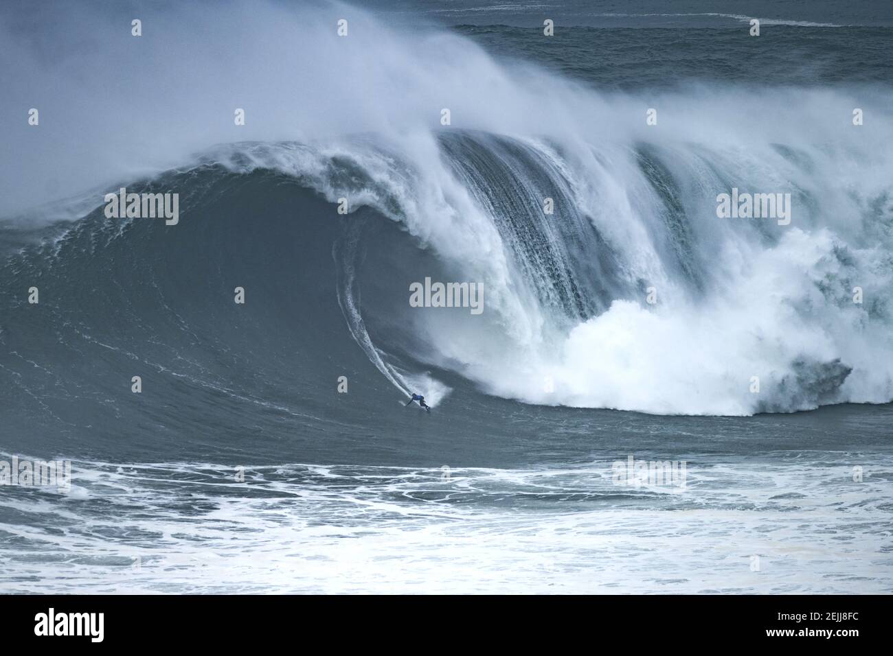 Aconteceu algo com o PAI do WAVE 😰 