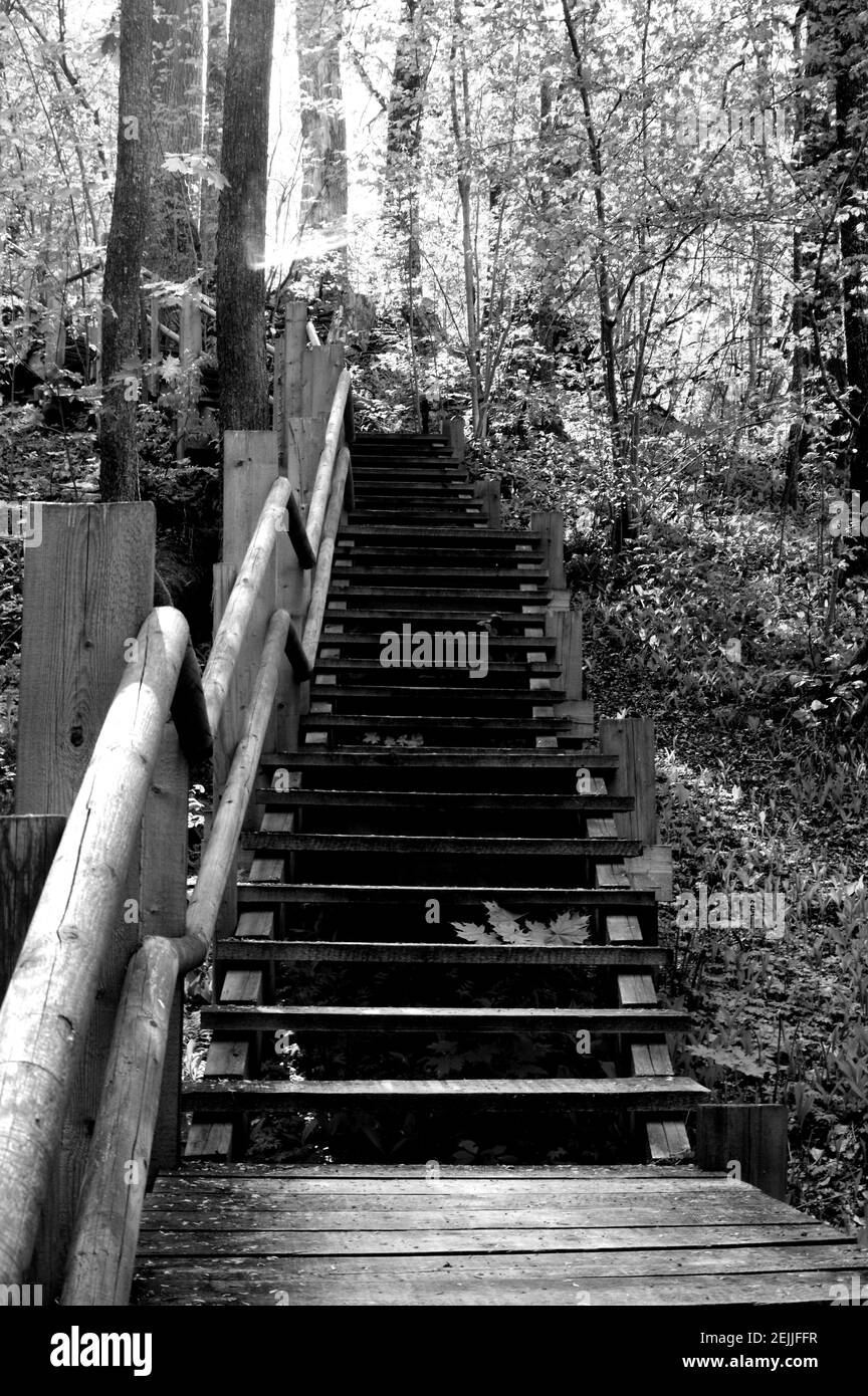 Fire observation tower Black and White Stock Photos & Images - Alamy