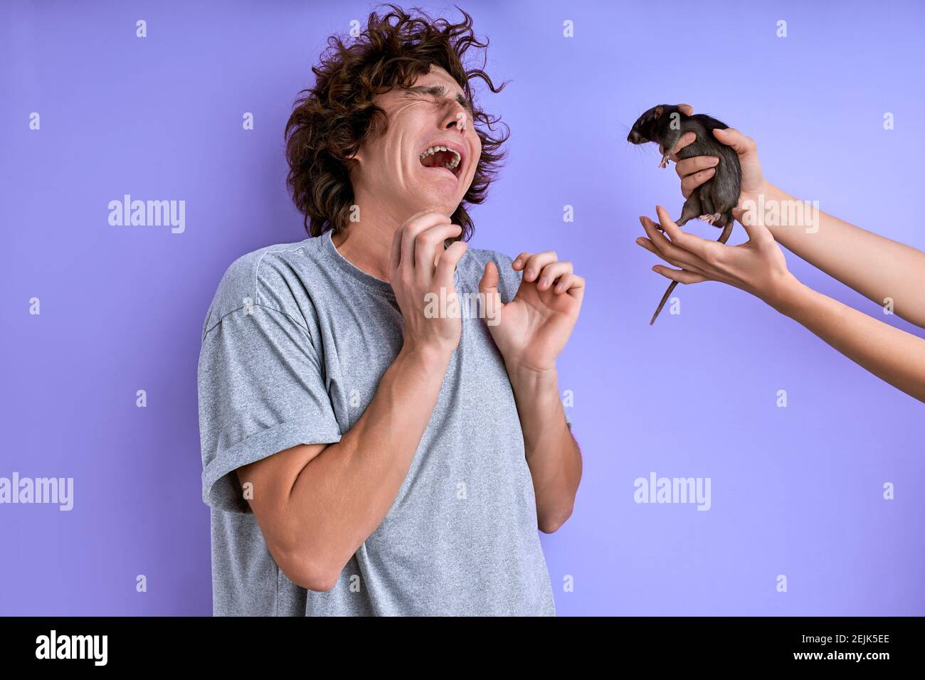screaming and crying curly male is afraid of rodents, has musophobia
