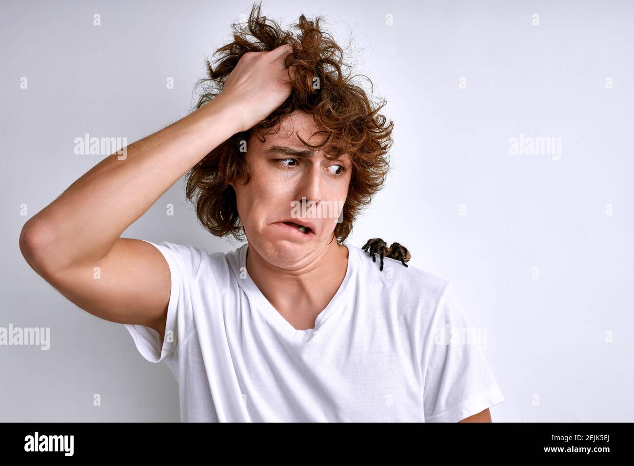 man is quietly horrified that a huge spider is crawling across his body on t-shirt, white background, isolated Stock Photo