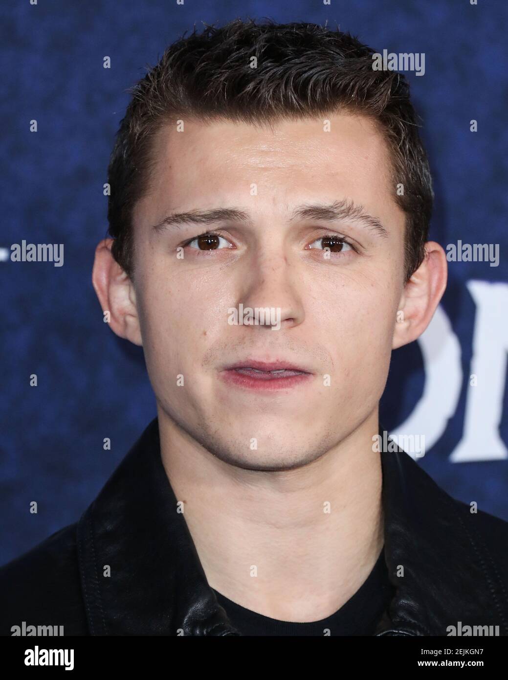 HOLLYWOOD LOS ANGELES CALIFORNIA USA FEBRUARY 18 Actor Tom hollywood-los-angeles-california-usa-february-18-actor-tom
