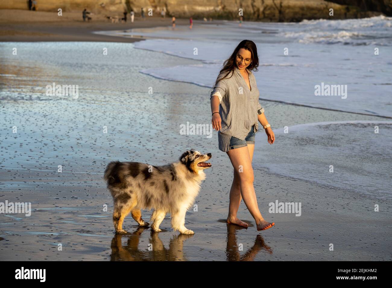 Girl with Australian Shepherd (aussie) at Sunset on the Beach Stock Photo