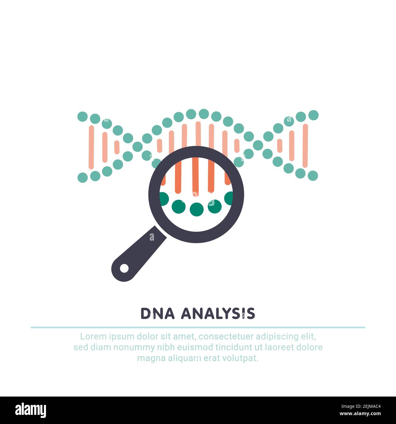 DNA analysis icon, testing. dna chain in magnifying glass sign