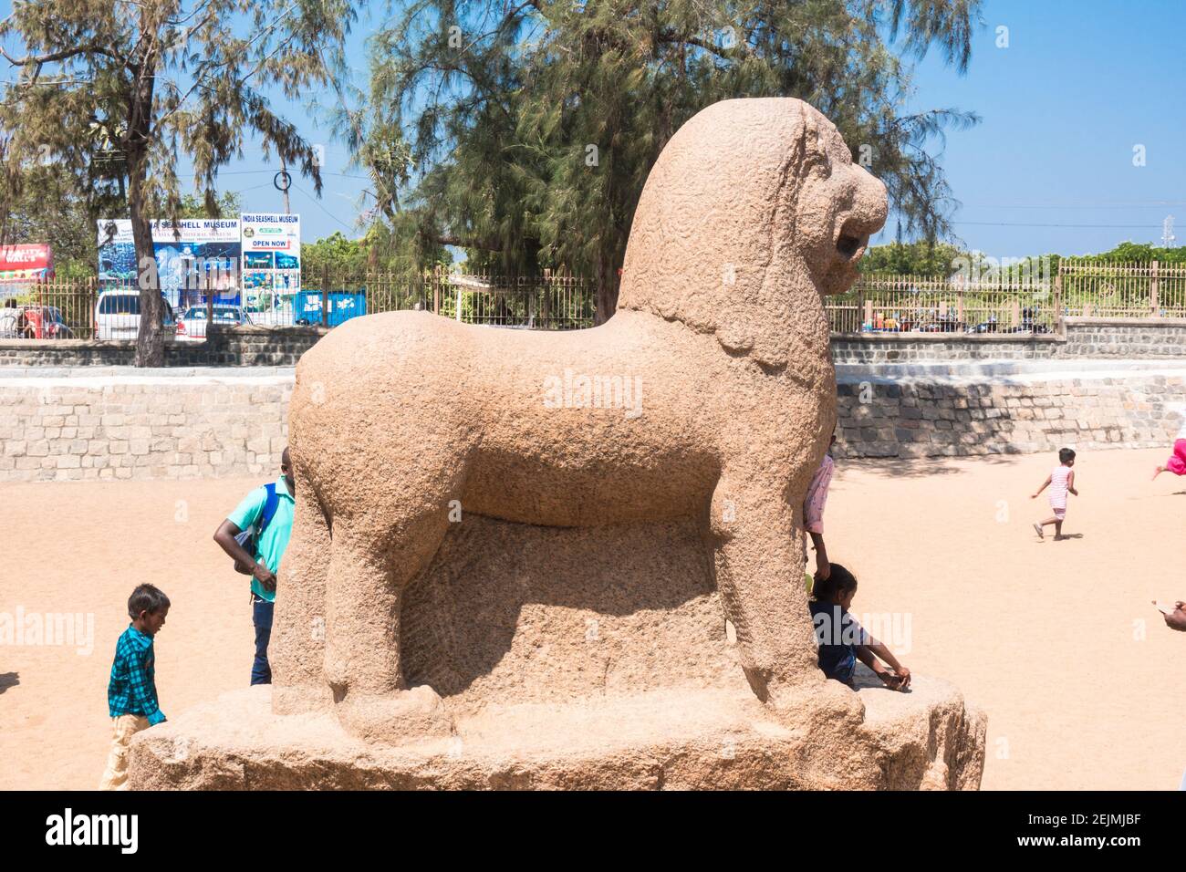 Single stone sculpture of animal Lion carved as stand alone at the Five  ratha complex in Mahabalipuram, Tamil Nadu, India Stock Photo - Alamy