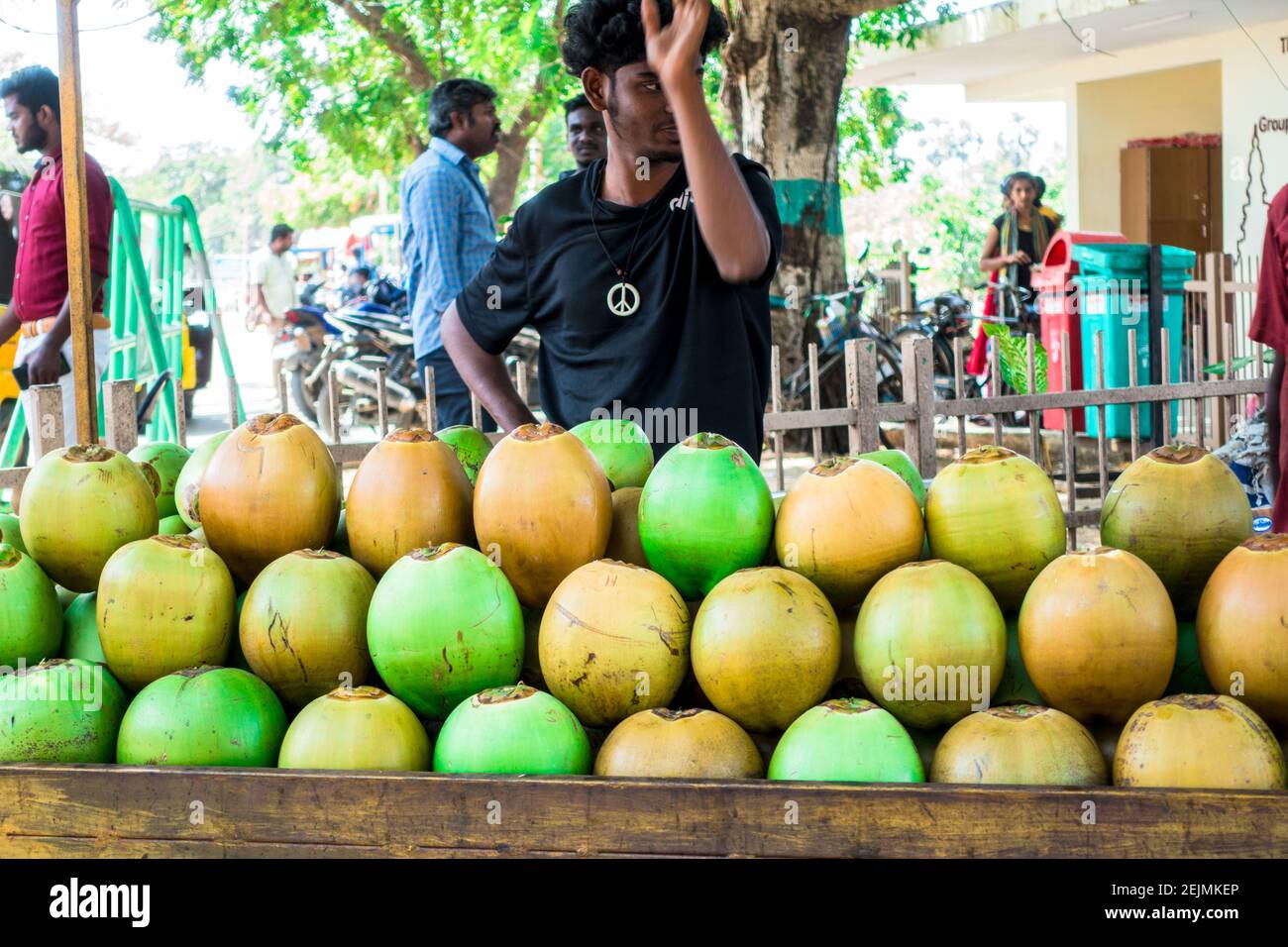 Coconut drink seller in Mahabalipuram, Tamil Nadu. India Stock Photo