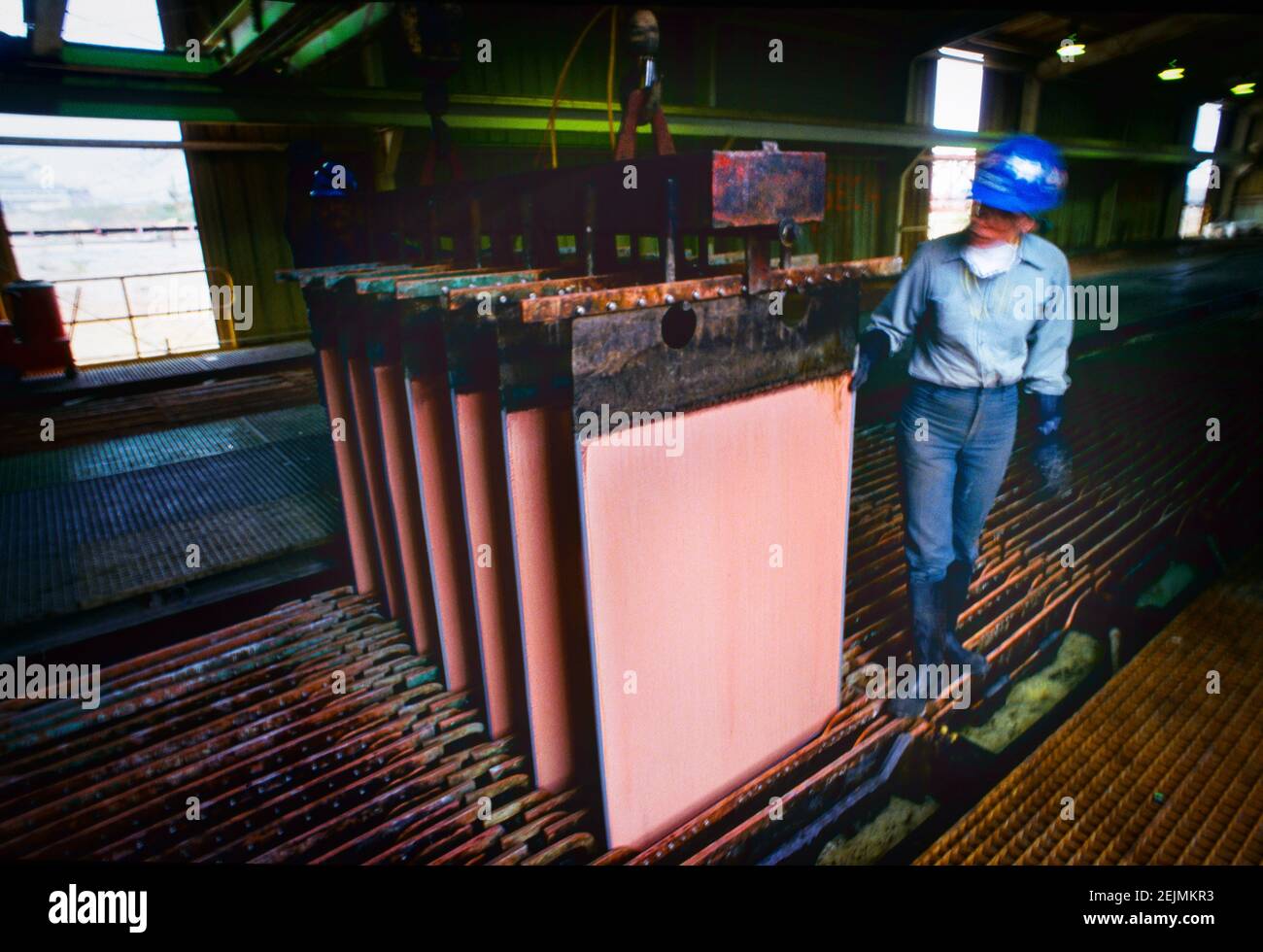 A female open pit copper mine worker dips copper plates in an acid bath. Stock Photo