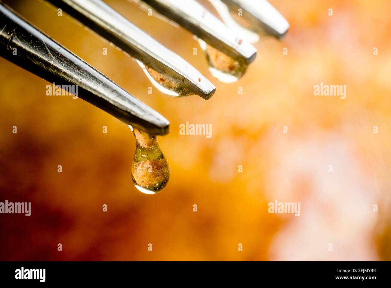 Sweet Canadian maple syrup dripping from a fork with french toast Stock